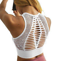 Ladies Sports Bra - Glefidiya