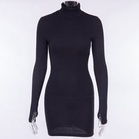 Ladies Long Sleeve Skinny Mini Dress - Glefidiya