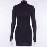 Ladies Long Sleeve Skinny Mini Dress - Glefidiya